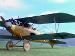 32009 1/32 Albatros D.V - Ray Rimell UK (3)